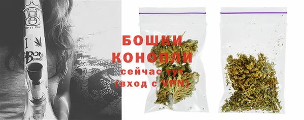 стафф Няндома