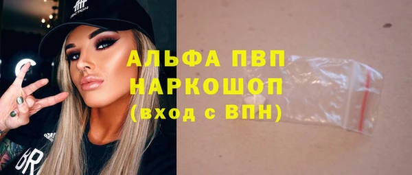 гашик Болхов