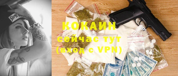 стафф Няндома