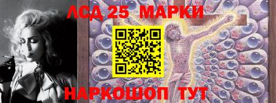 шишки Гатчина
